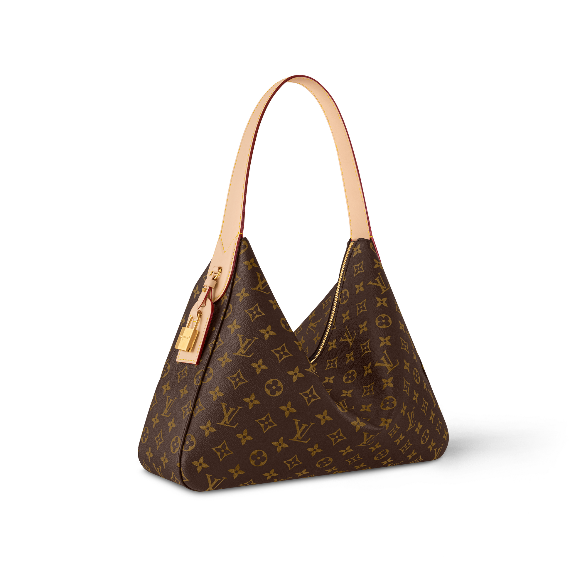 バッグ Louis Vuitton sac chaussures Louis Vuitton Sac Chaussures in Monogram Canvas Used